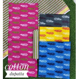 LSW COTTON DUPATTA 3