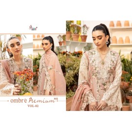 OMBRE PREMIUM VOL 2 NX SHREE 